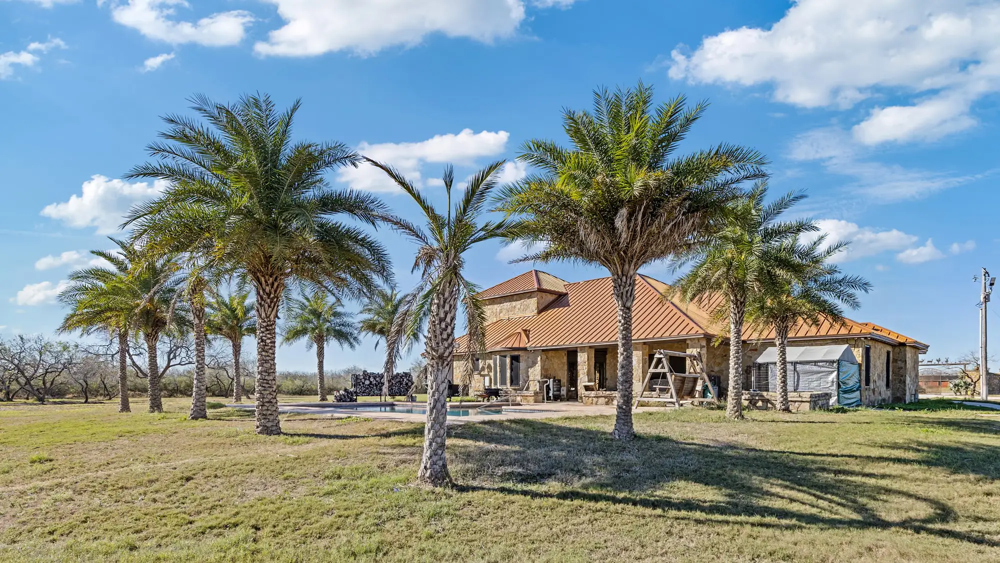 The house seen through the palms of the front landscape